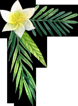 Auronox Çiçek